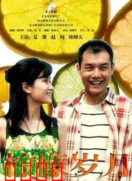 柠檬岁月：青春的酸涩与成长