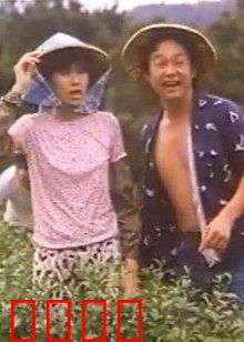 小美我爱你：爱情的真谛