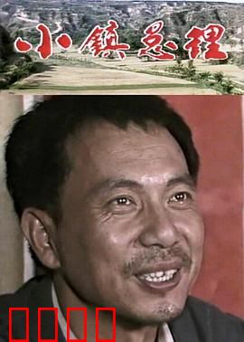 小镇总理：平凡英雄