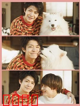 爱你汪汪：忠犬助攻的爱情奇迹