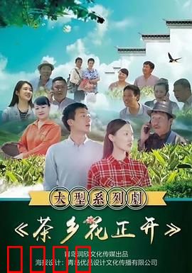 茶乡花正开：茶香情缘