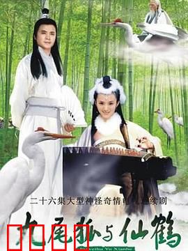 九尾狐与仙鹤：一段旷世奇缘