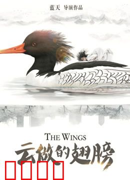 云做的翅膀：梦想的飞翔