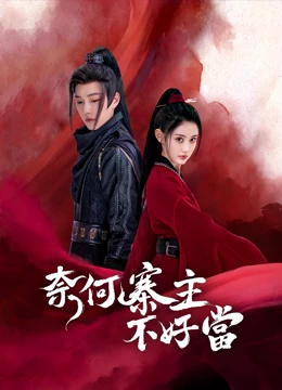 奈何寨主不好当：穿越成匪