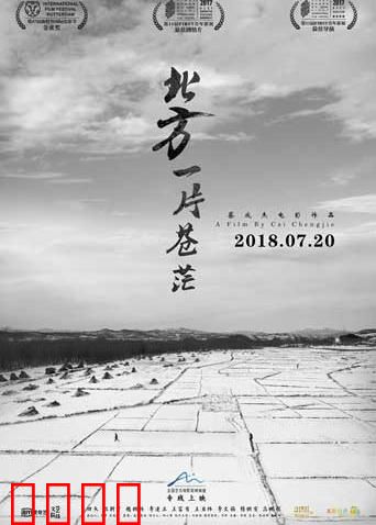 北方一片苍茫：女性生存实录