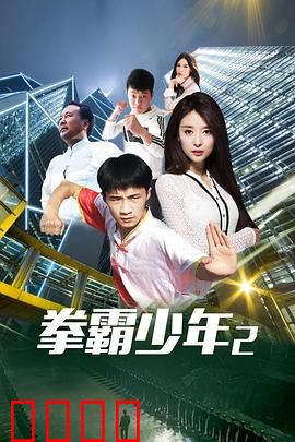 拳霸少年2：复仇铁拳