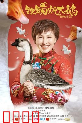 我来自北京之铁锅炖大鹅：返乡创业奇遇