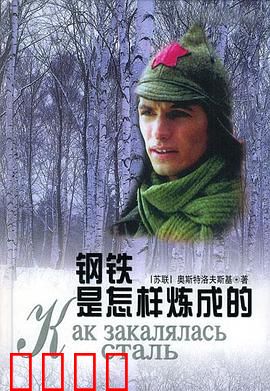 钢铁是怎样炼成的：革命烈火锻造的青春