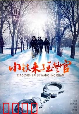 小镇来了王警官：警民联手破迷案