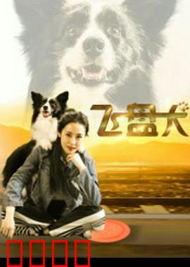 飞盘犬：逆袭夺冠