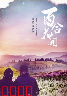 《百合花开》：坚韧绽放