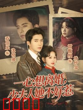 一心想离婚，少夫人她不好惹：婚后逆袭女王