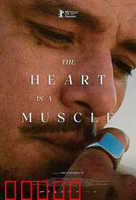 心如肌理：伤痕下的秘密