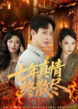 七年真情终散尽：爱的代价